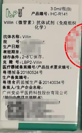 安必平Pax-8抗体试剂(免疫组织化学) 3.0ml/瓶(B)