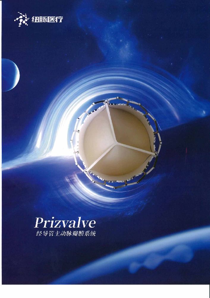 球囊扩张式经导管主动脉瓣膜系统 PTAV20