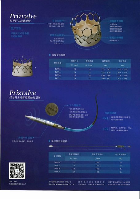 球囊扩张式经导管主动脉瓣膜系统 PTAV23